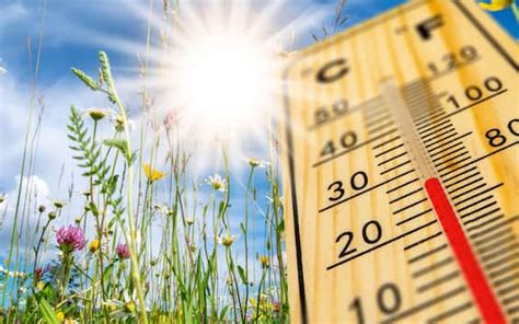 Ondata di caldo, oggi 8 città da bollino rosso: le previsioni meteo.